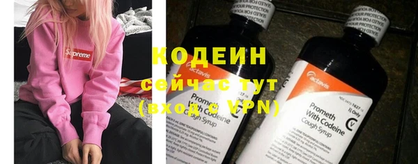 дживик Краснослободск