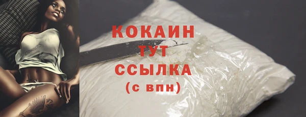 дживик Краснослободск