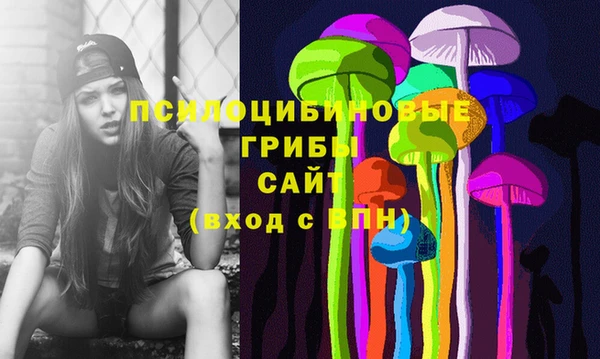 стаф Козельск