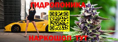 индика Комсомольск-на-Амуре