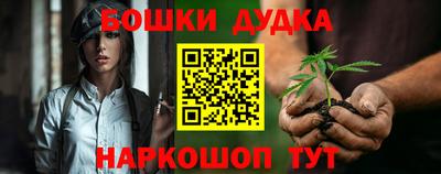 индика Комсомольск-на-Амуре