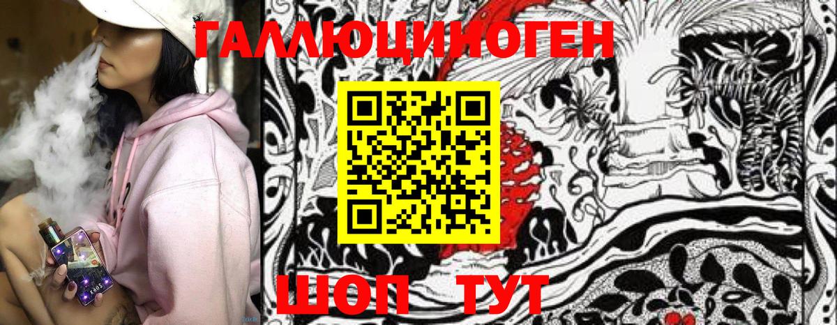 Псилоцибиновые грибы GOLDEN TEACHER  Кореновск  Псилоцибиновые грибы MAGIC MUSHROOMS 