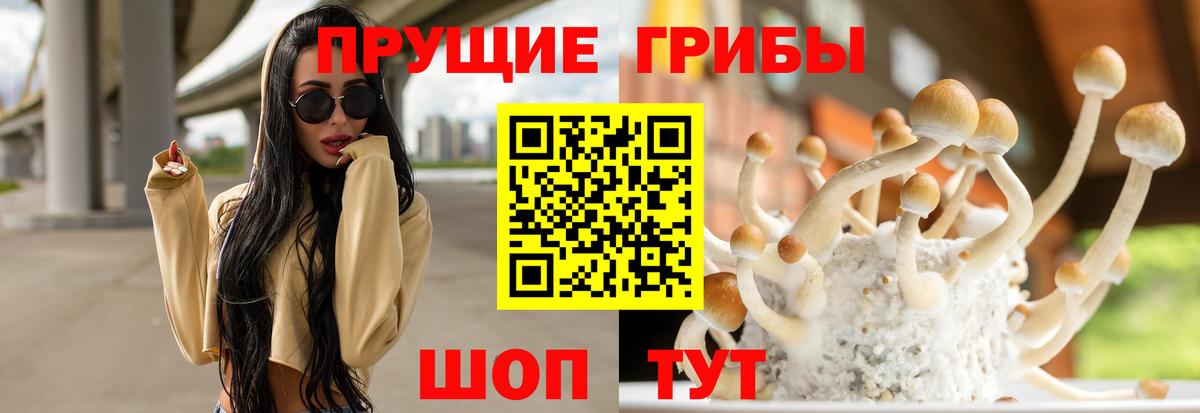 Псилоцибиновые грибы GOLDEN TEACHER Кореновск