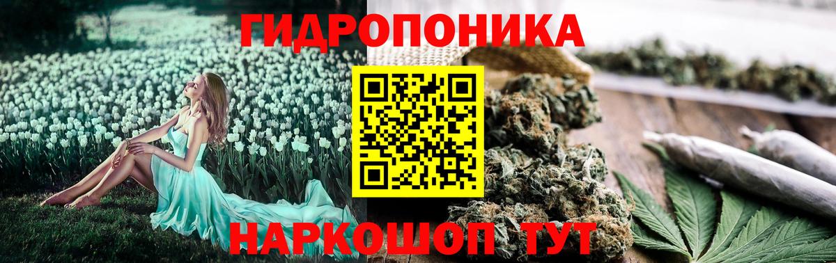 Бошки Шишки THC 21% Кореновск